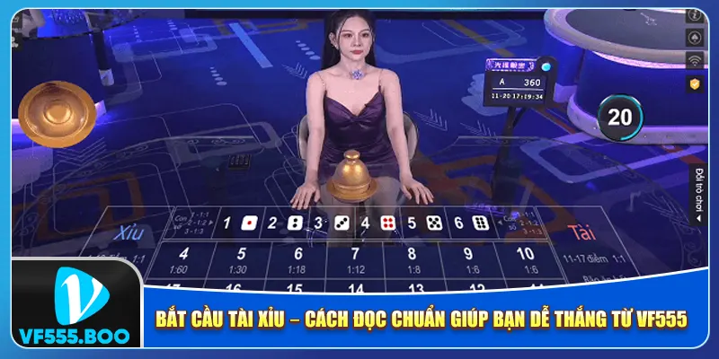 Bắt Cầu Tài Xỉu – Cách Đọc Chuẩn Giúp Bạn Dễ Thắng Từ VF555