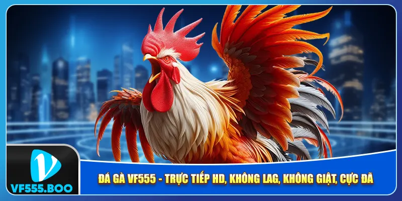 Đá Gà VF555 - Trực Tiếp HD, Không Lag, Không Giật, Cực Đã!